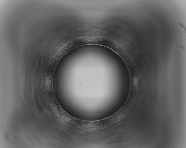 X0000103301300200809051513