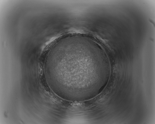 X0000103301303200809051513