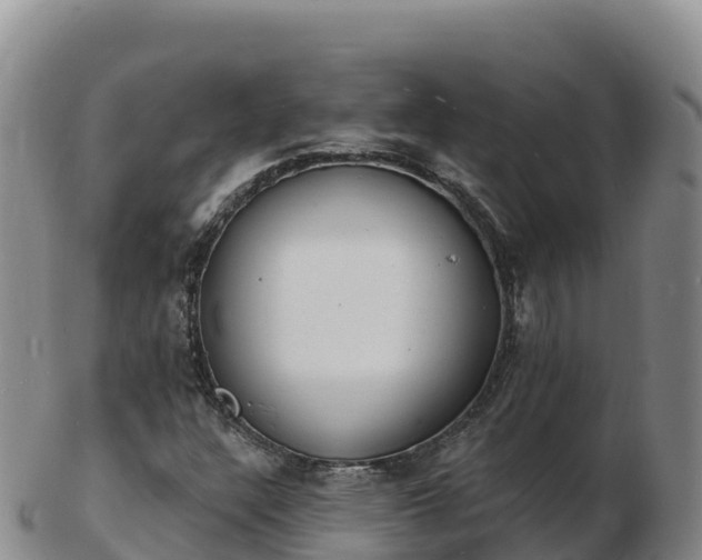 X0000103301304200809051513