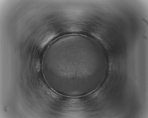 X0000103301306200809051513