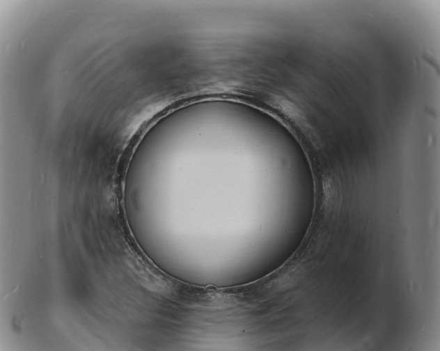 X0000103301308200809051513