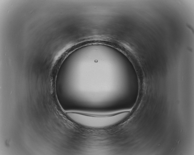 X0000103301310200809051513