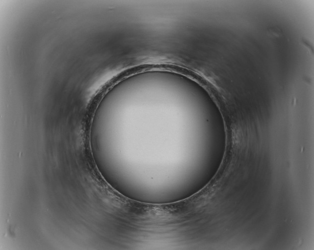 X0000103301311200809051513