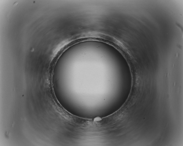 X0000103301312200809051513