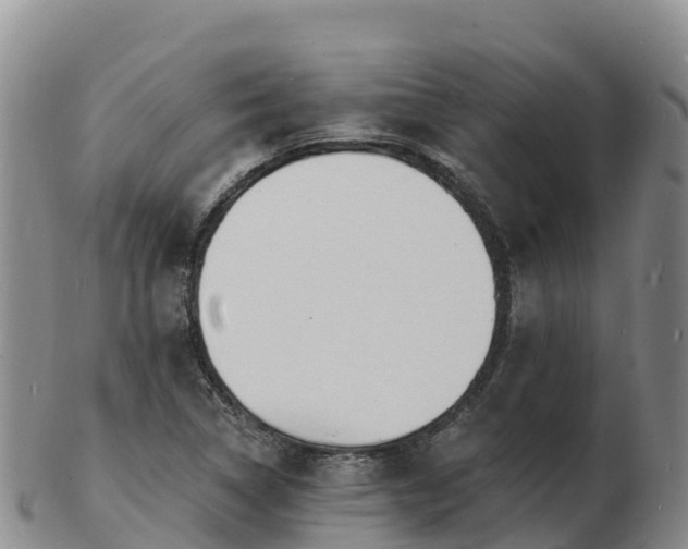 X0000103301314200809051513