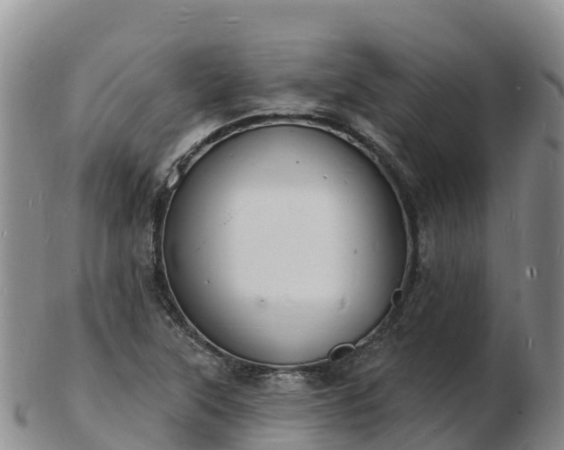 X0000103301315200809051513