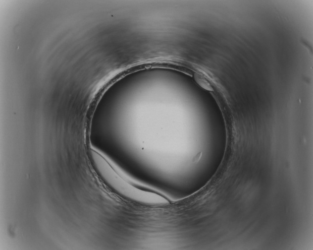 X0000103301316200809051513