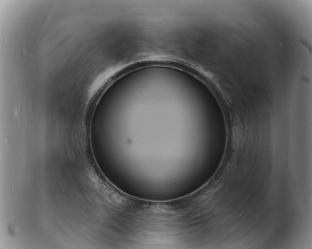 X0000103301319200809051513