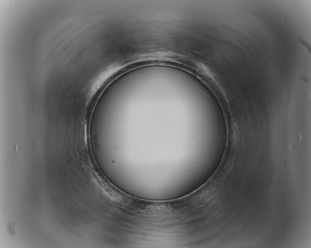 X0000103301320200809051513