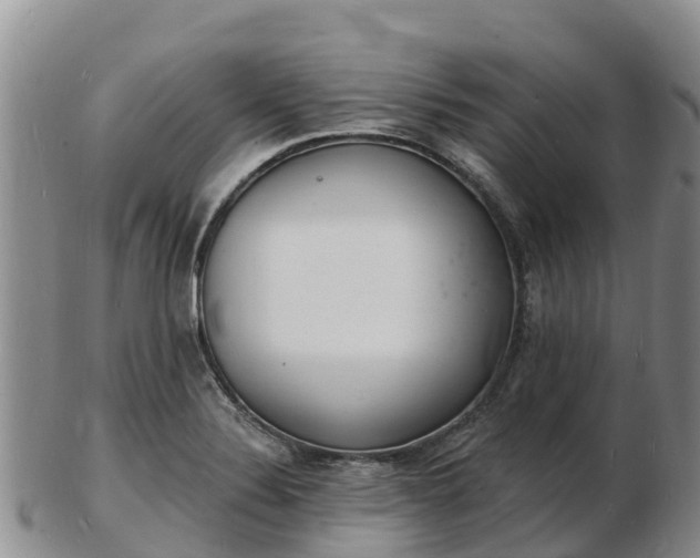 X0000103301324200809051513