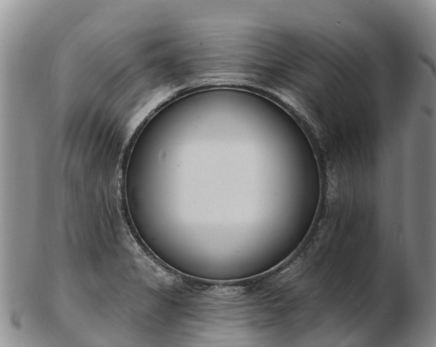 X0000103301325200809051513