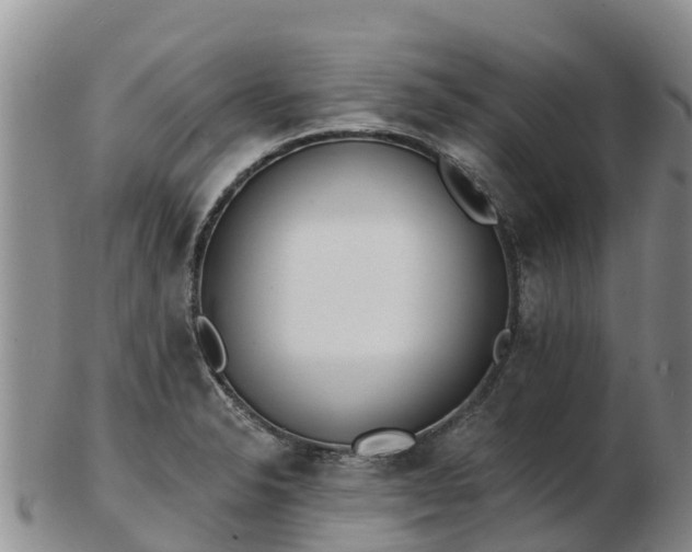 X0000103301326200809051513