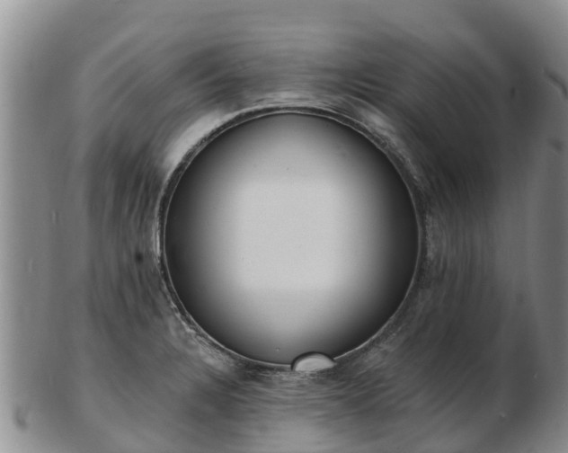 X0000103301328200809051513