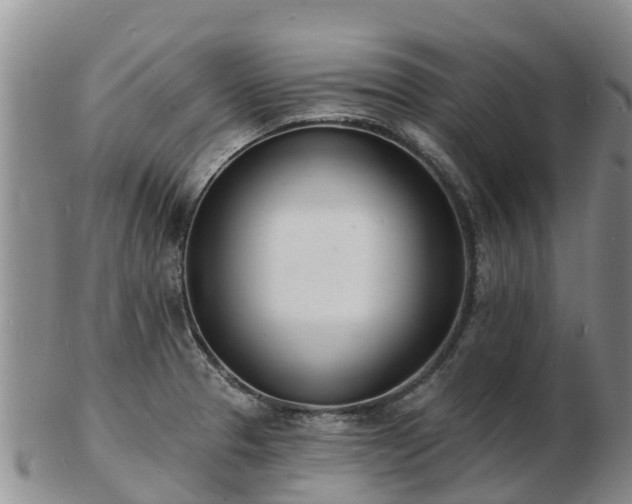 X0000103301329200809051513