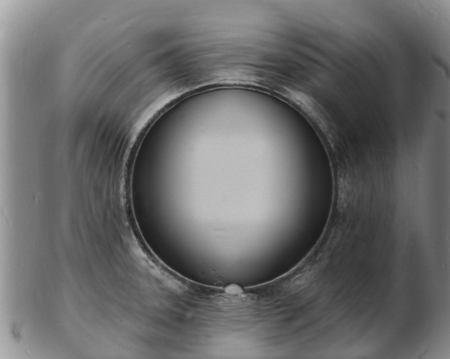 X0000103301331200809051513