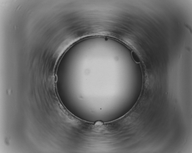 X0000103301332200809051513