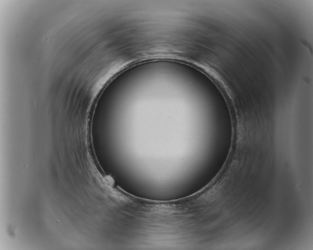 X0000103301333200809051514