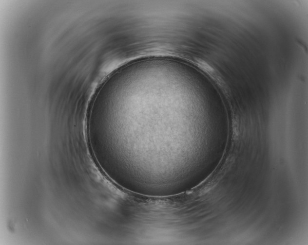 X0000103301334200809051514