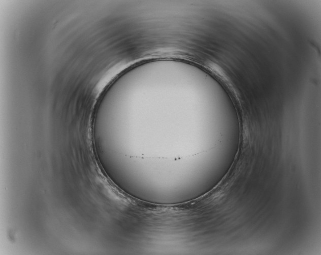 X0000103301336200809051514