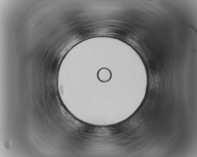 X0000103301338200809051514