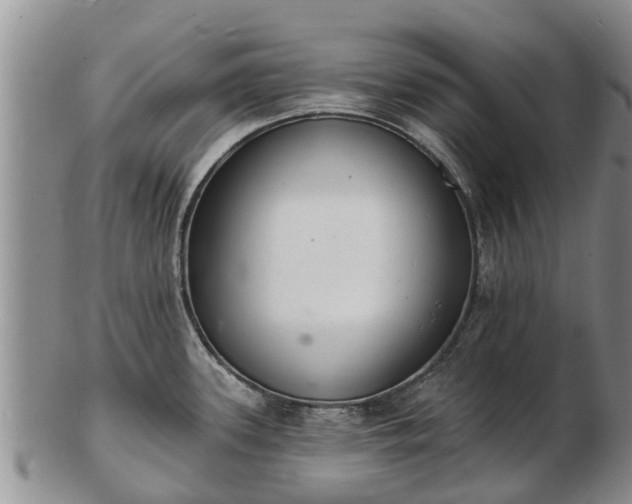 X0000103301339200809051514