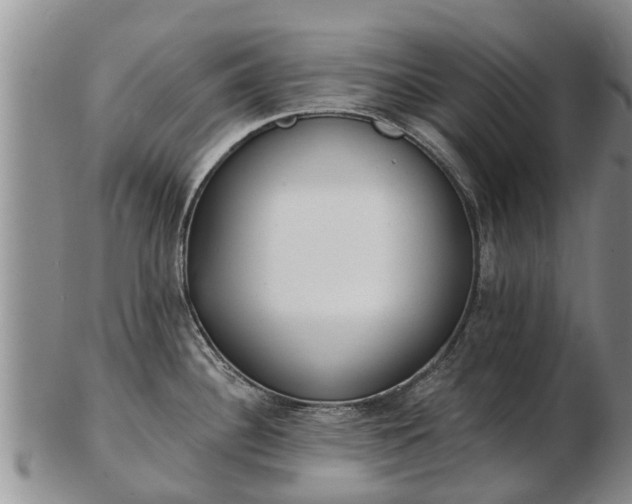 X0000103301340200809051514