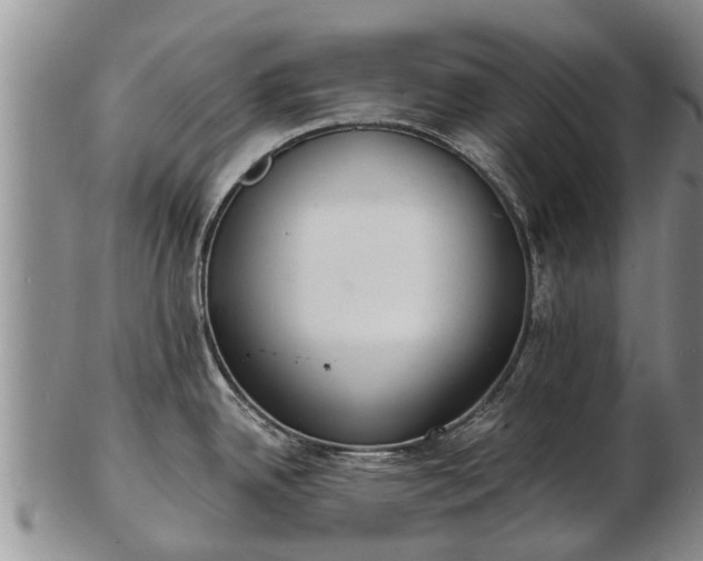 X0000103301342200809051514