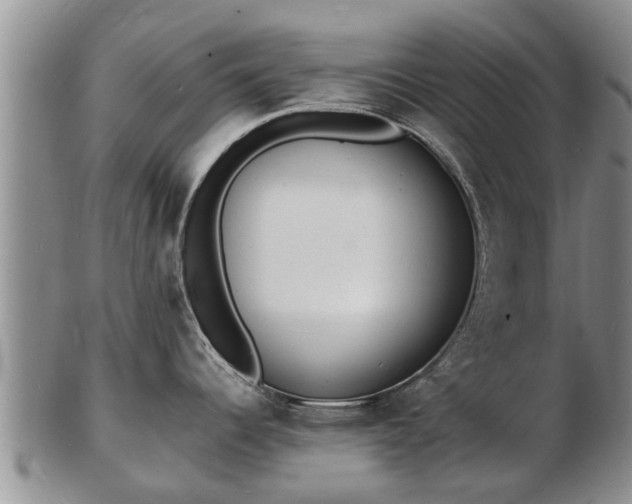 X0000103301344200809051514