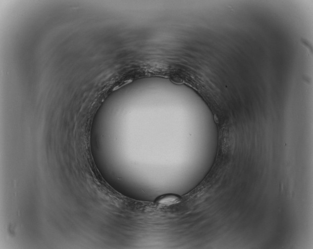 X0000103301345200809051513