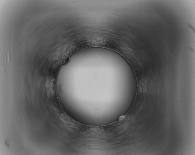 X0000103301346200809051513