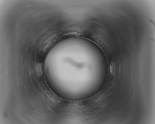 X0000103301347200809051513