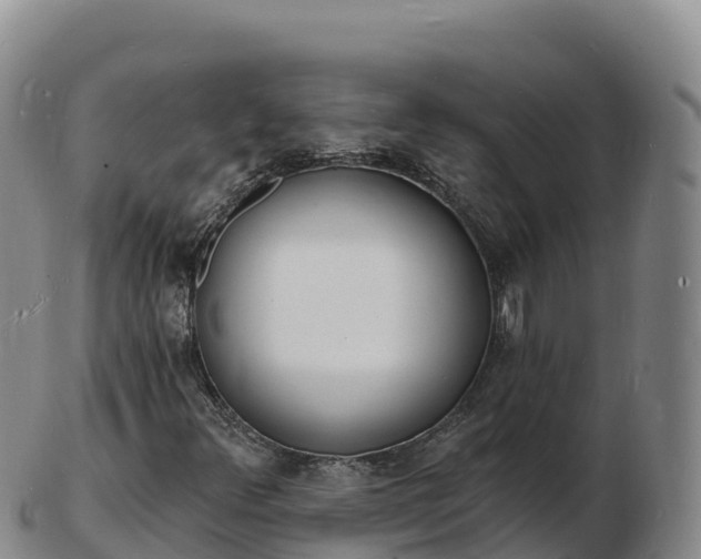 X0000103301348200809051513