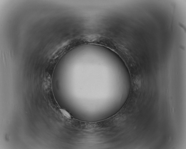 X0000103301349200809051513