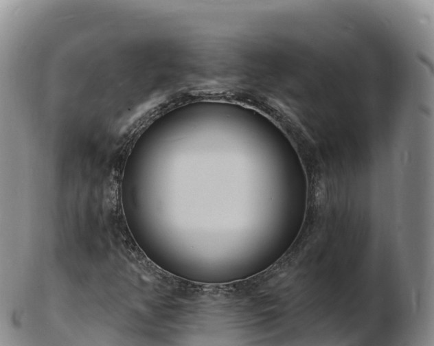 X0000103301350200809051513