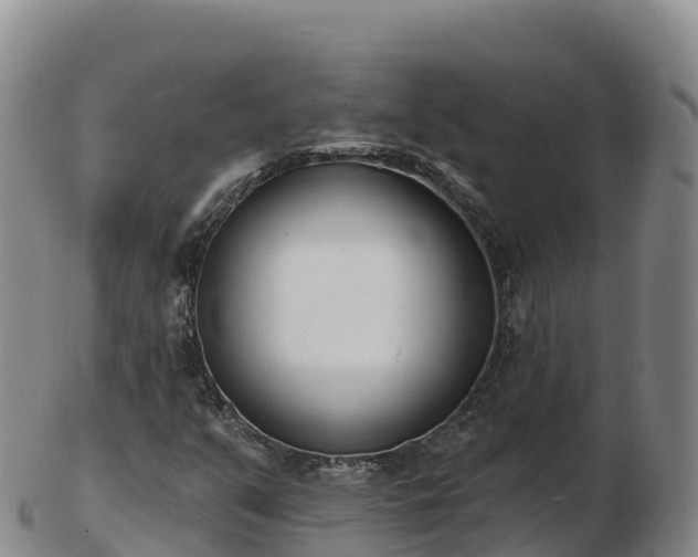 X0000103301351200809051513