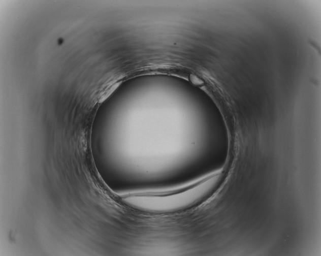 X0000103301353200809051513