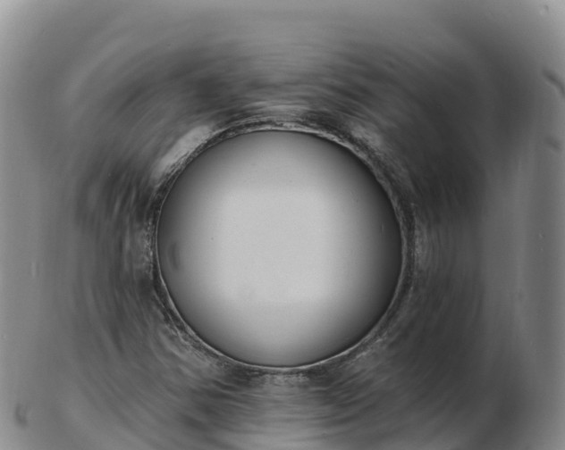 X0000103301354200809051513