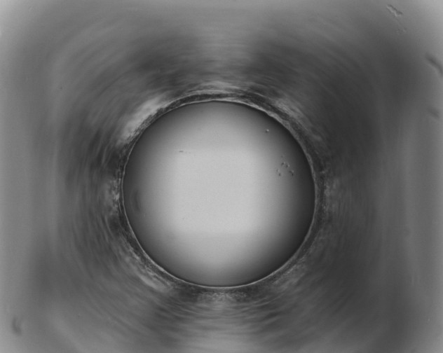 X0000103301355200809051513