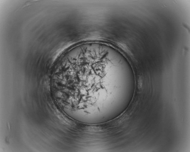 X0000103301356200809051513