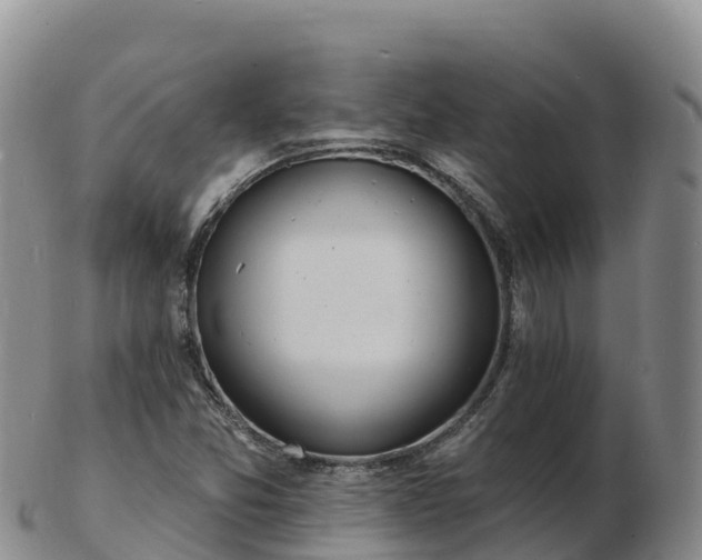 X0000103301357200809051513