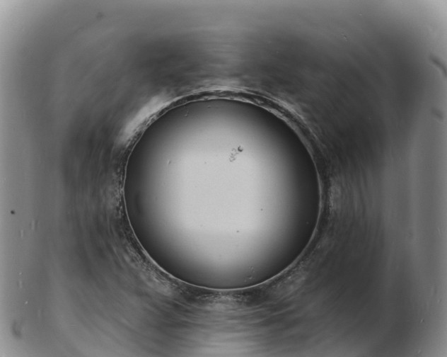 X0000103301359200809051513