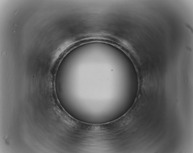 X0000103301360200809051513