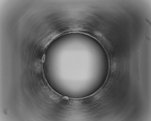 X0000103301361200809051513