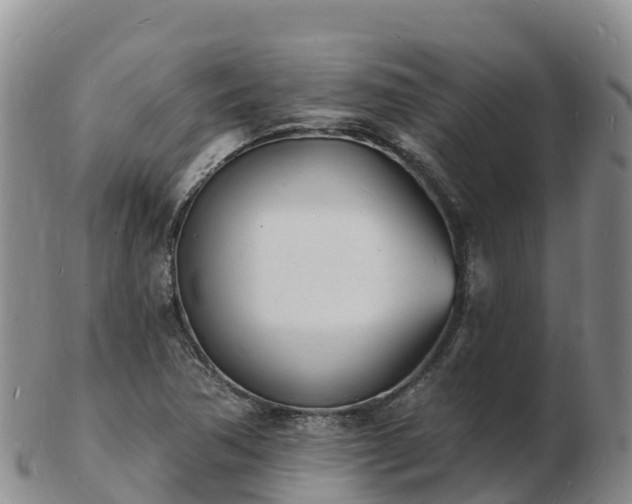 X0000103301362200809051513