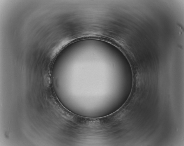 X0000103301363200809051513