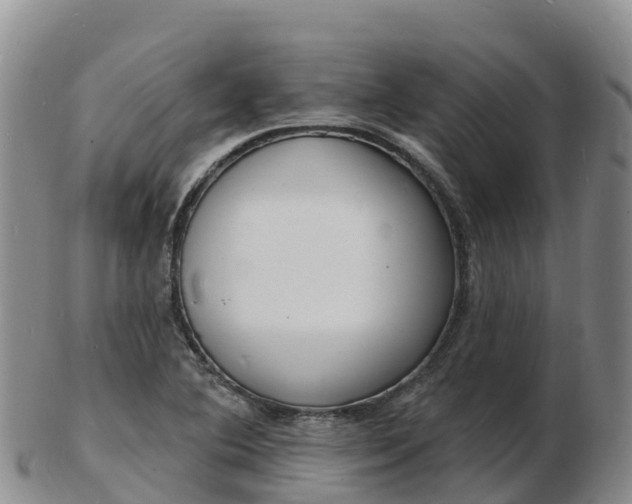 X0000103301364200809051513