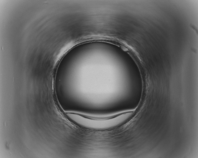 X0000103301365200809051513