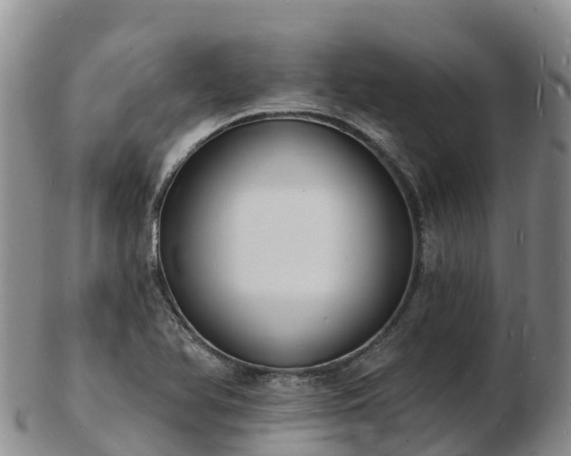 X0000103301366200809051513