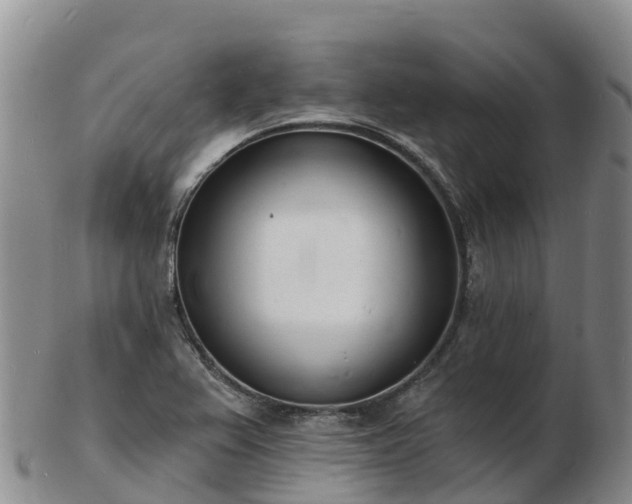 X0000103301367200809051513