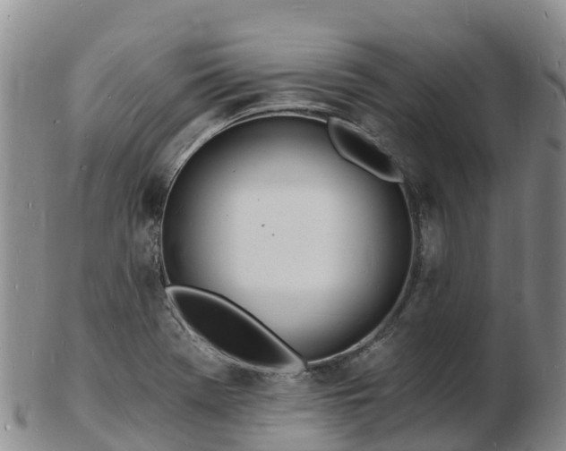 X0000103301369200809051513